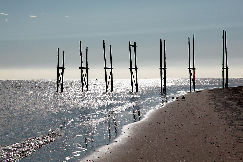 Texel 2012 - 2