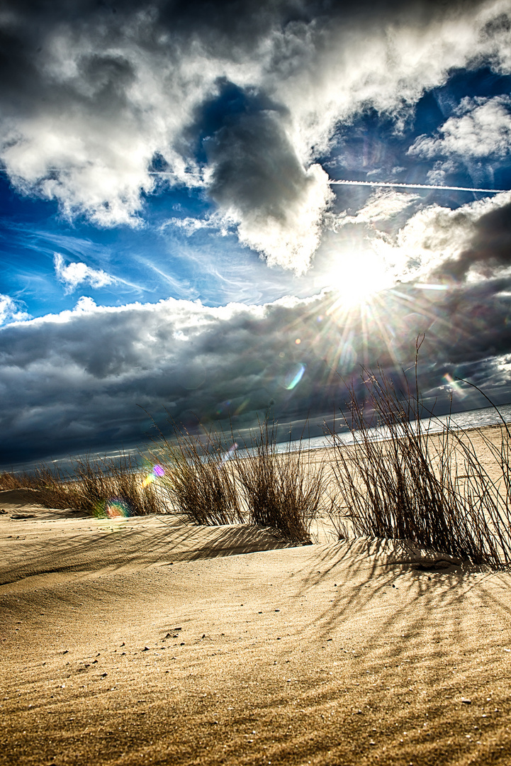 Texel 2012 HDR