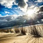 Texel 2012 HDR