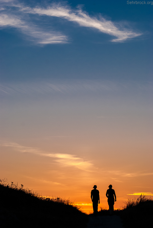 Texel 2012 - I