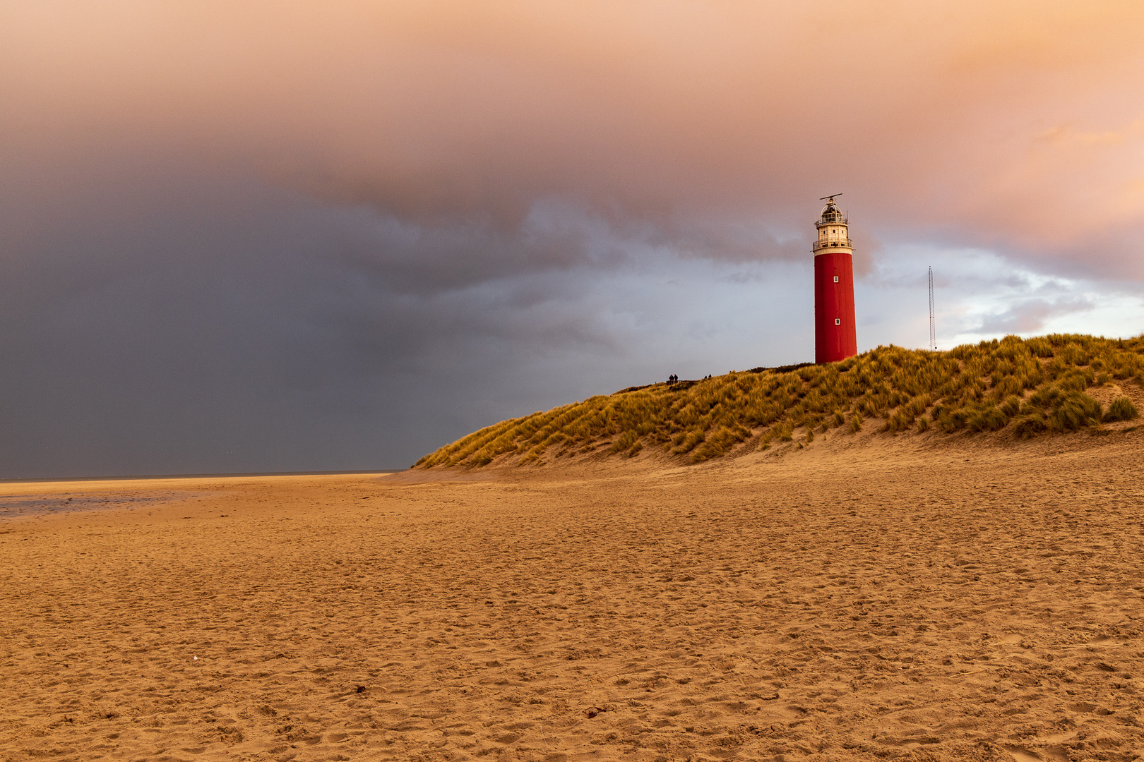 Texel 2019 Leuchtturm