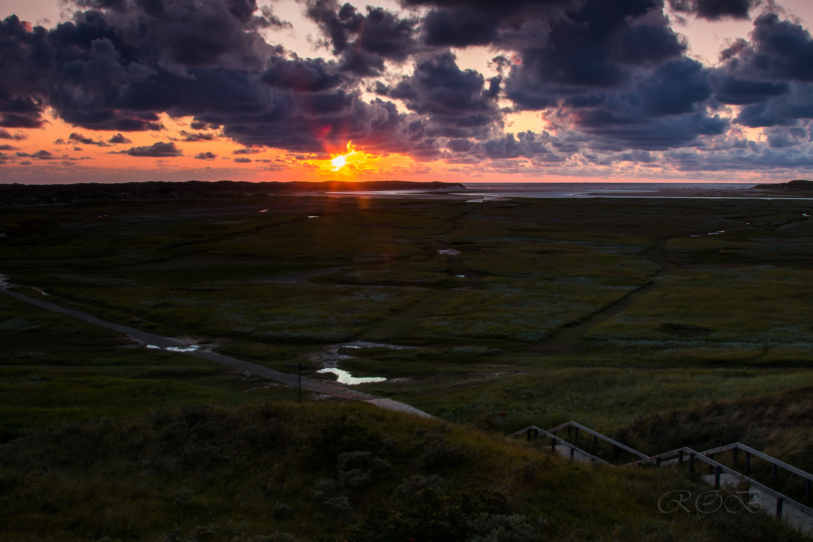 Texel-20190813-32124