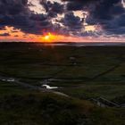 Texel-20190813-32124