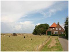 Texel