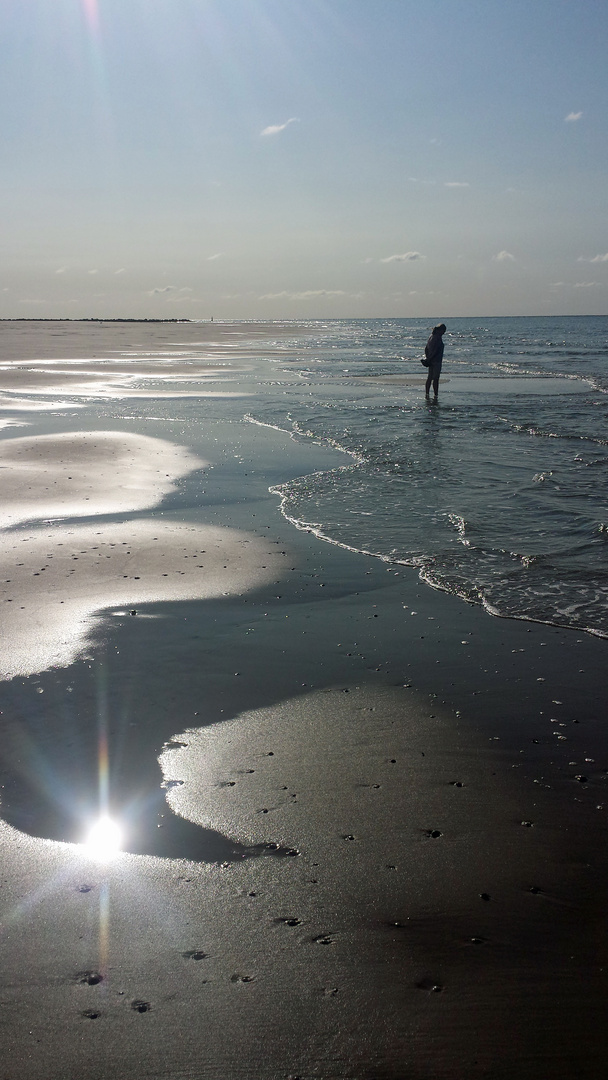 TEXEL