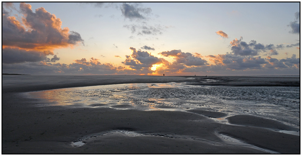 Texel (3)