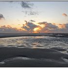 Texel (3)