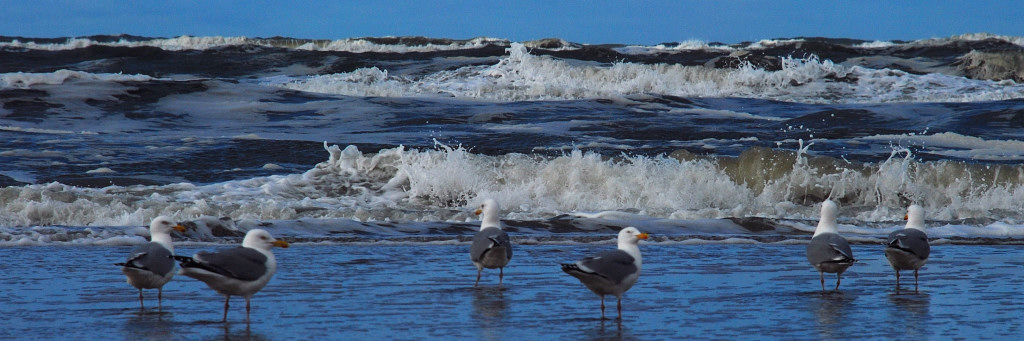 Texel 3