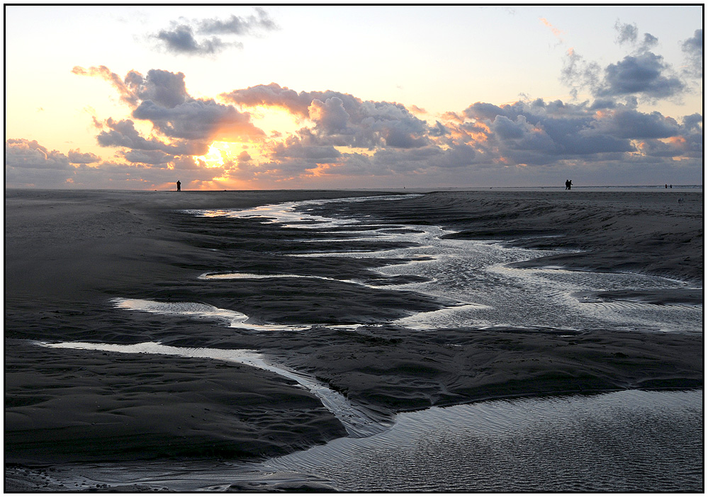 Texel (6)