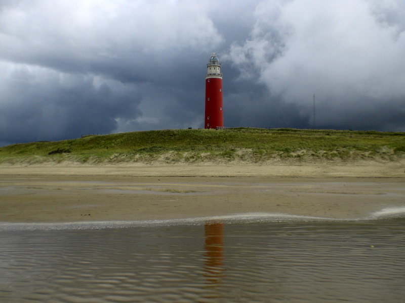 Texel...