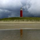 Texel...