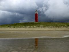 Texel...