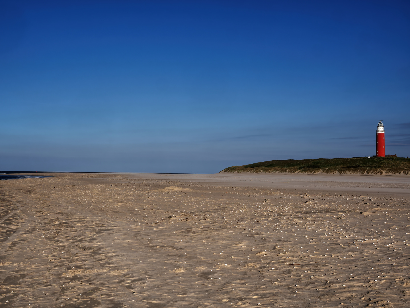 Texel 