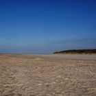 Texel 