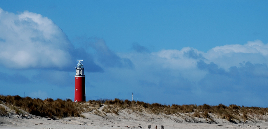 Texel 7