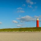 Texel