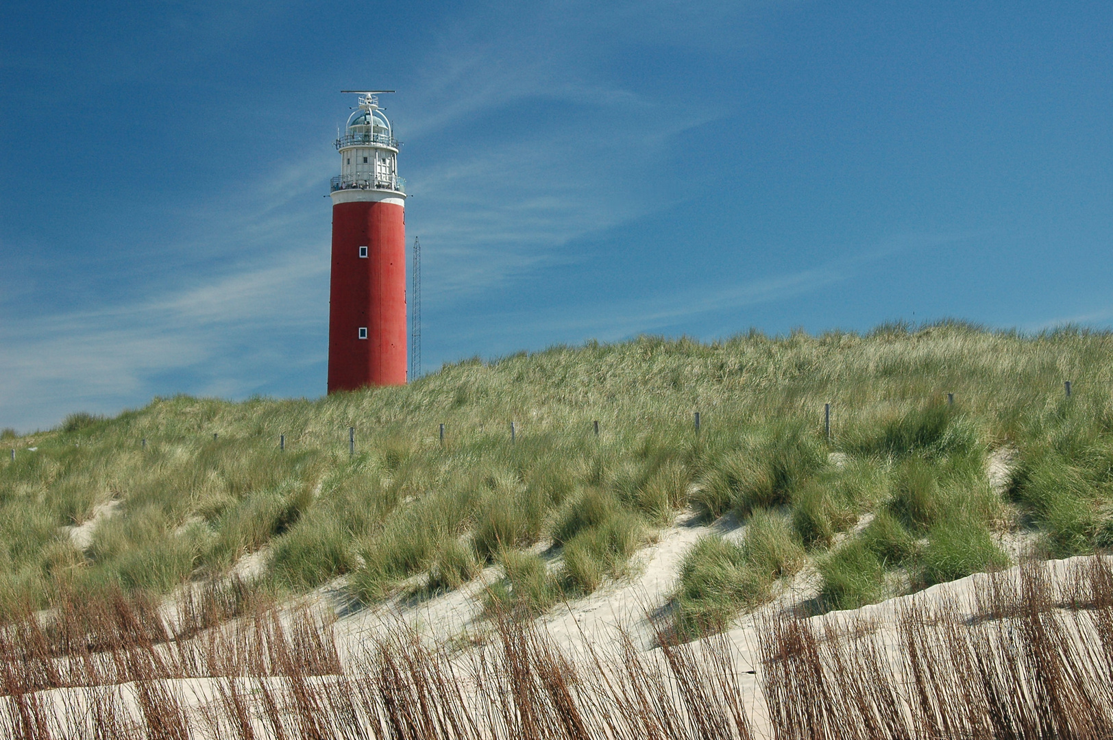 Texel