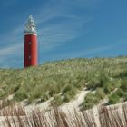 Texel