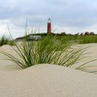 Texel