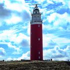 Texel (9)