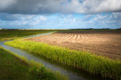 TEXEL