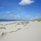 Texel