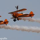 Texel Air Show 2012