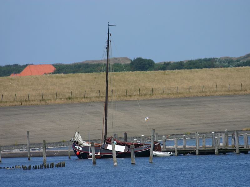 Texel am Deich von De Cocksdorp