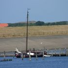 Texel am Deich von De Cocksdorp