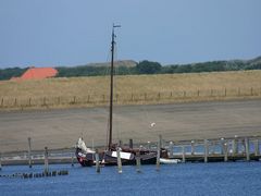 Texel am Deich von De Cocksdorp