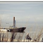 Texel-Angler