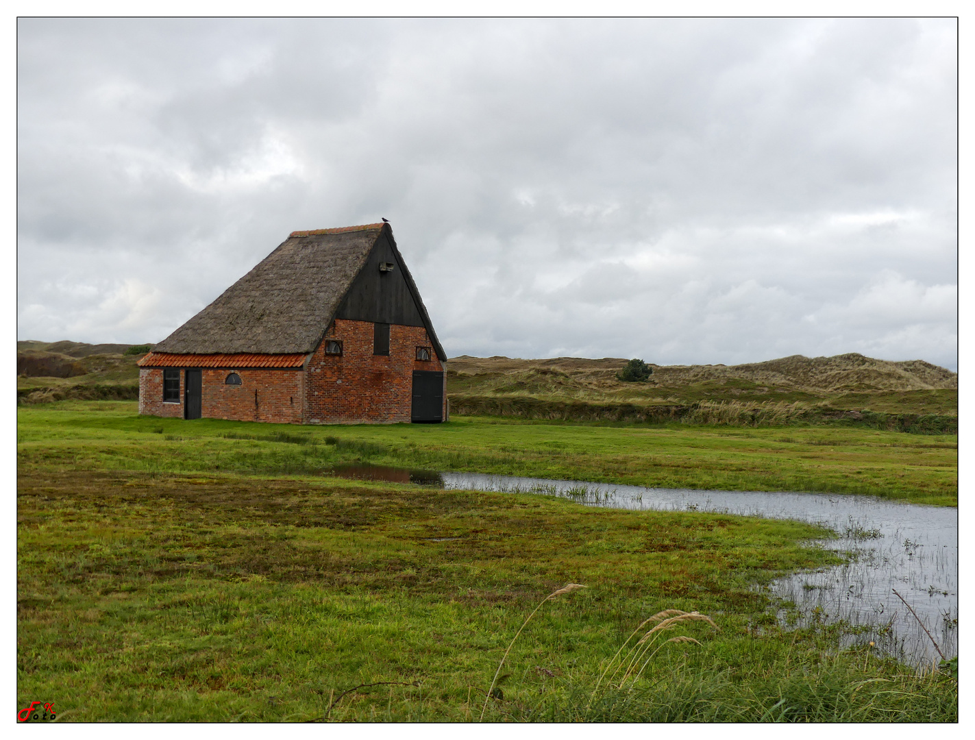 Texel 