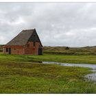 Texel 