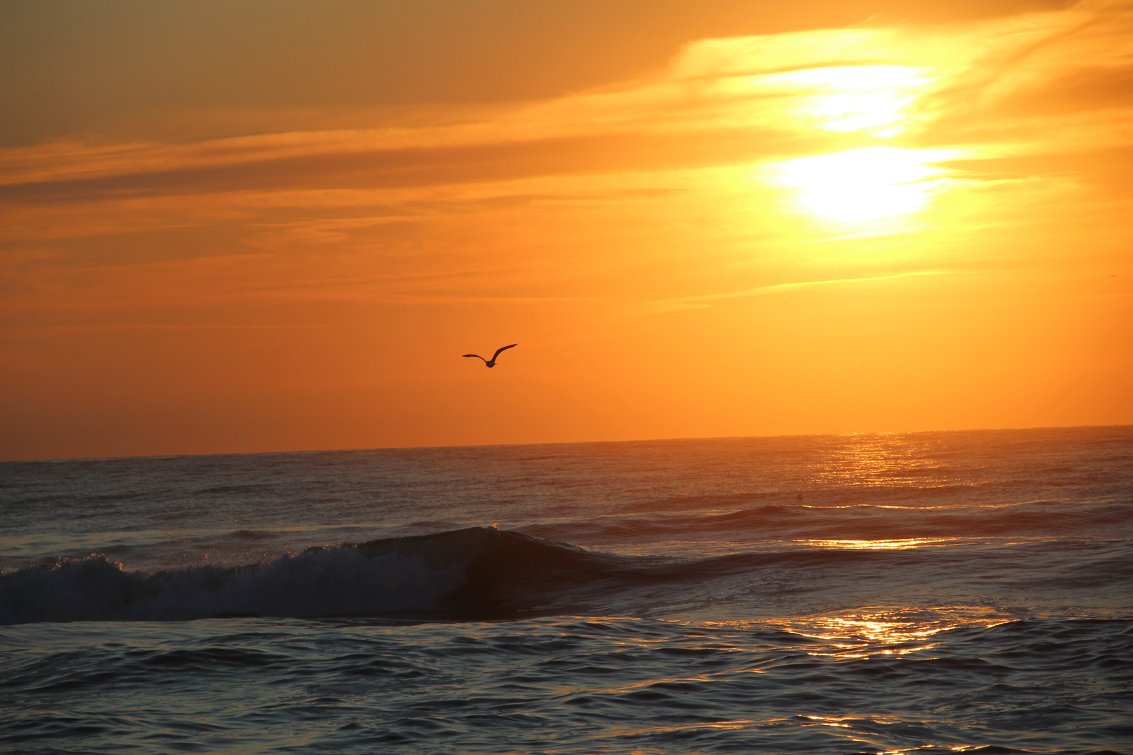 Texel