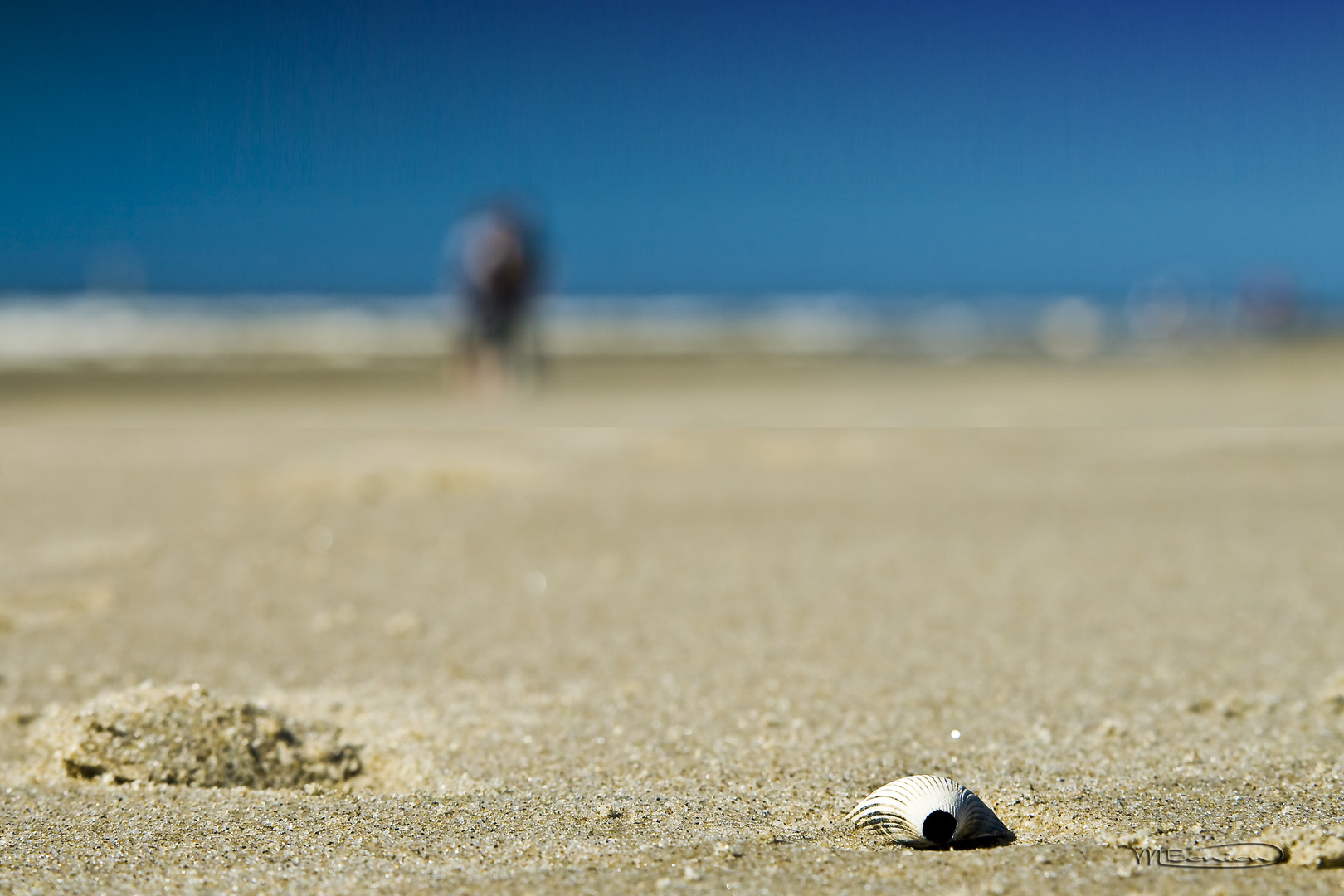 Texel beach