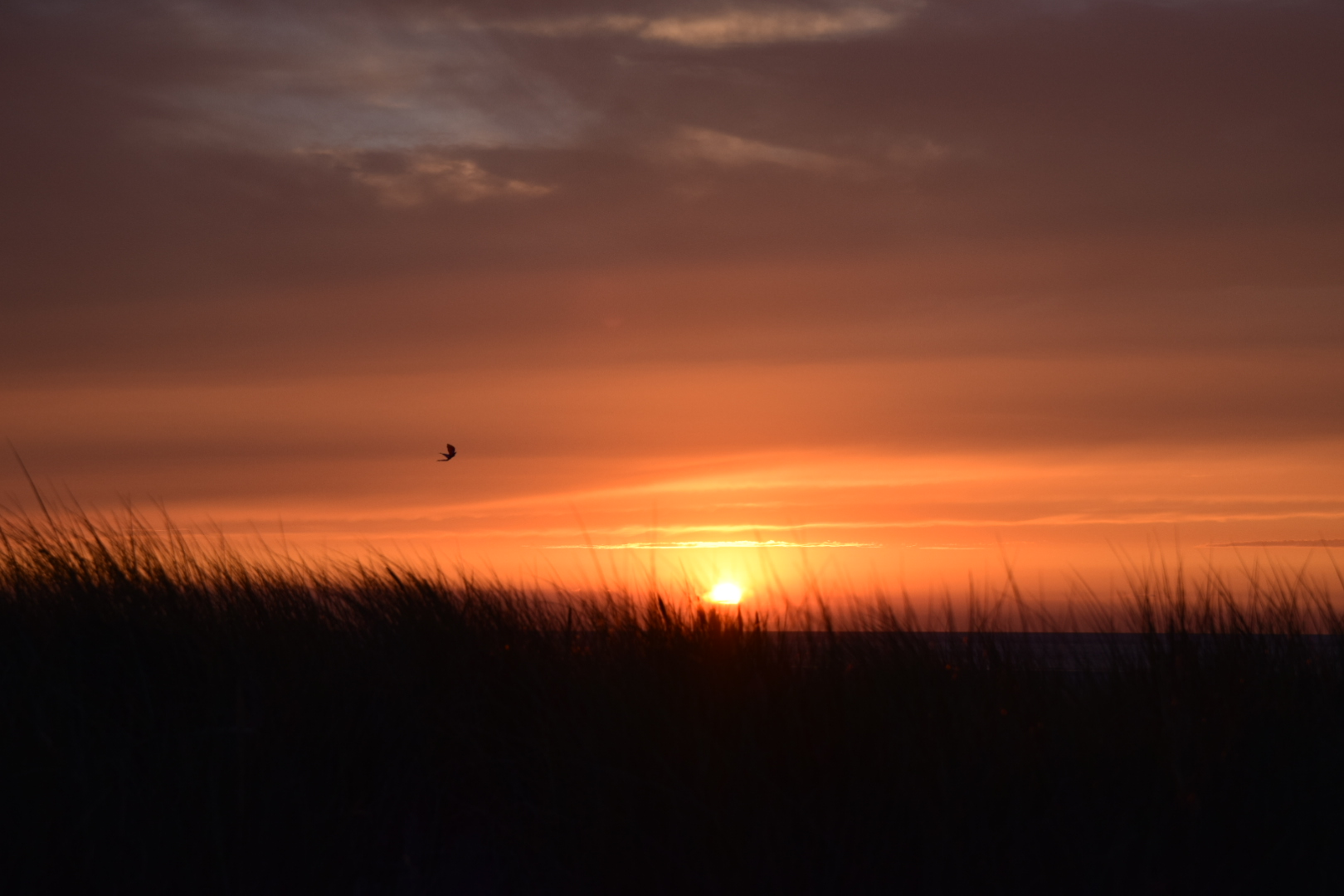 Texel bei Sonnenuntergang