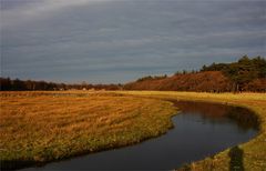 Texel