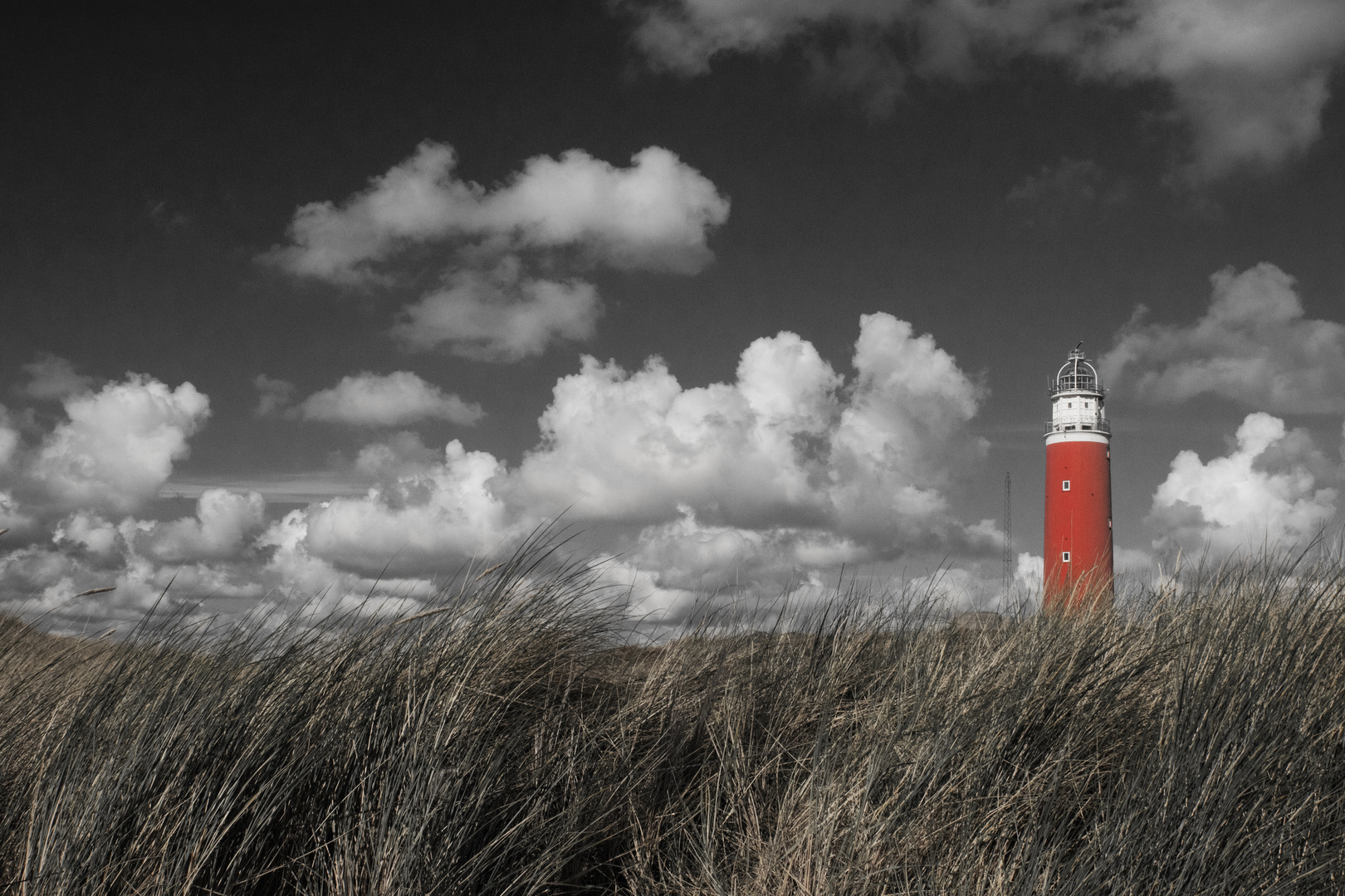 Texel bringt Farbe in Dein Leben