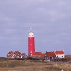 Texel