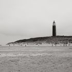 Texel