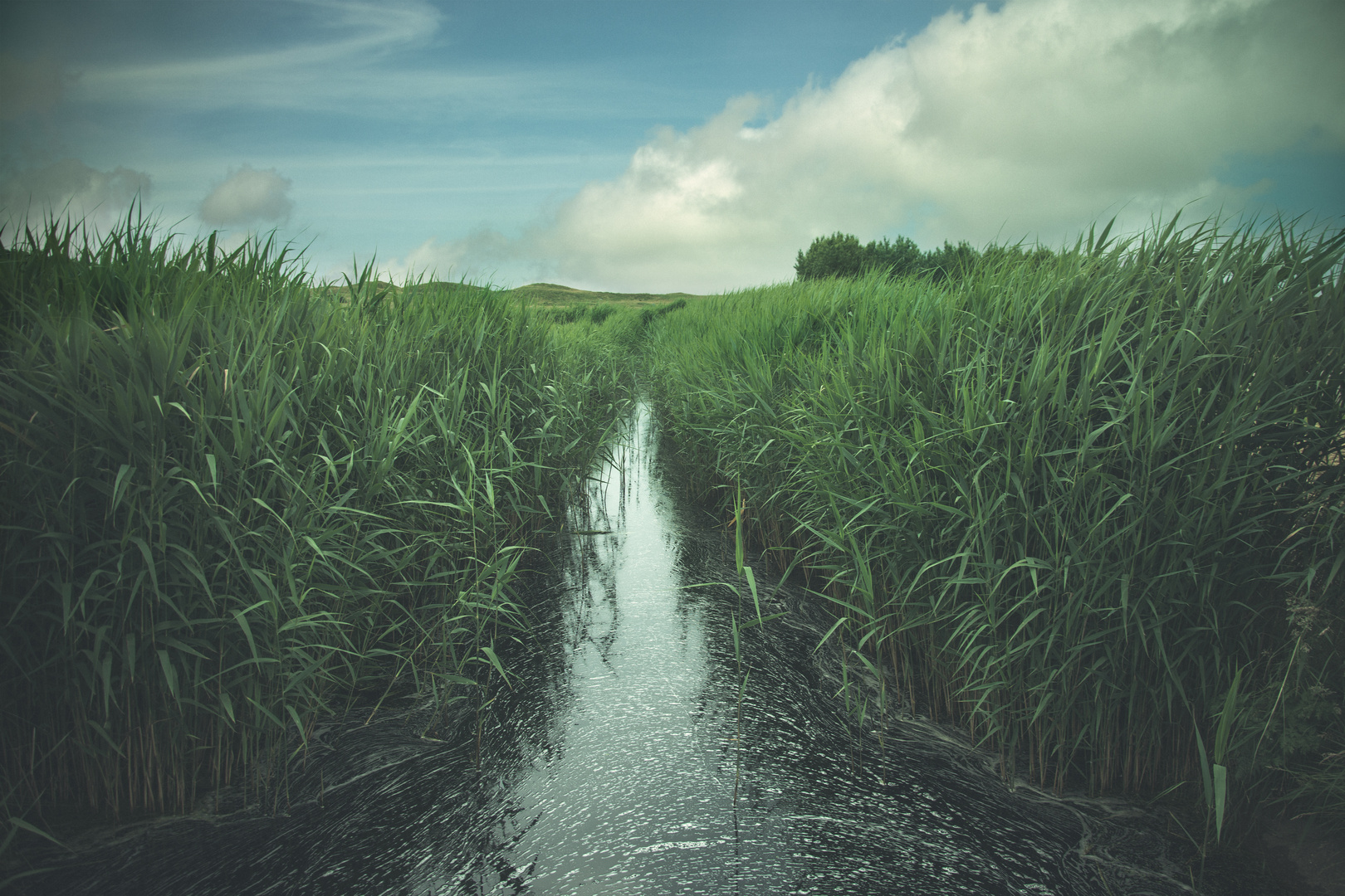 Texel