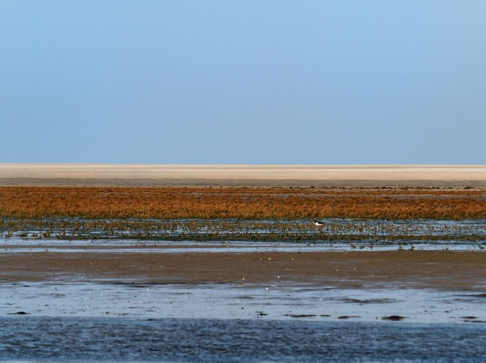 Texel - de slufter