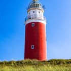 Texel- Der Leuchtturm