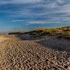 Texel-der Weg zum Strand