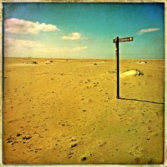 Texel Desert
