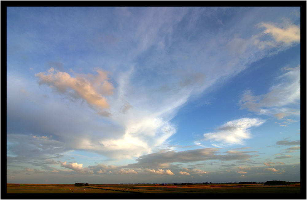 Texel