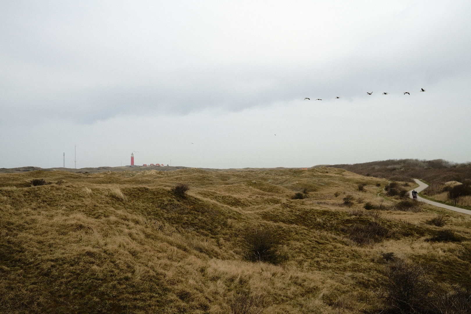 Texel