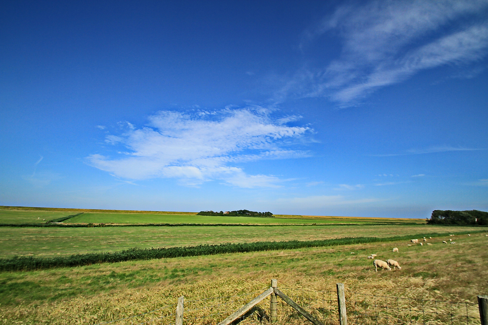 Texel ein fotografischer Traum