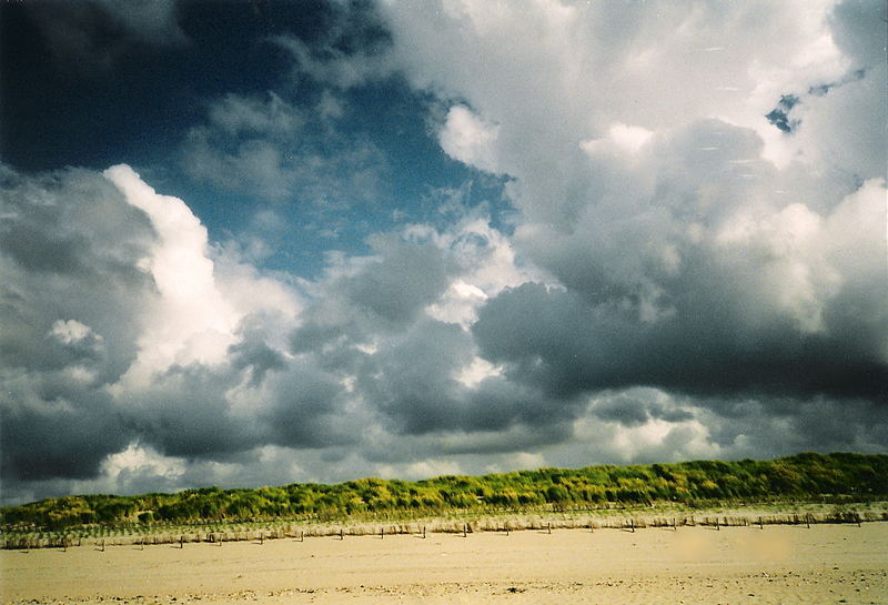 texel