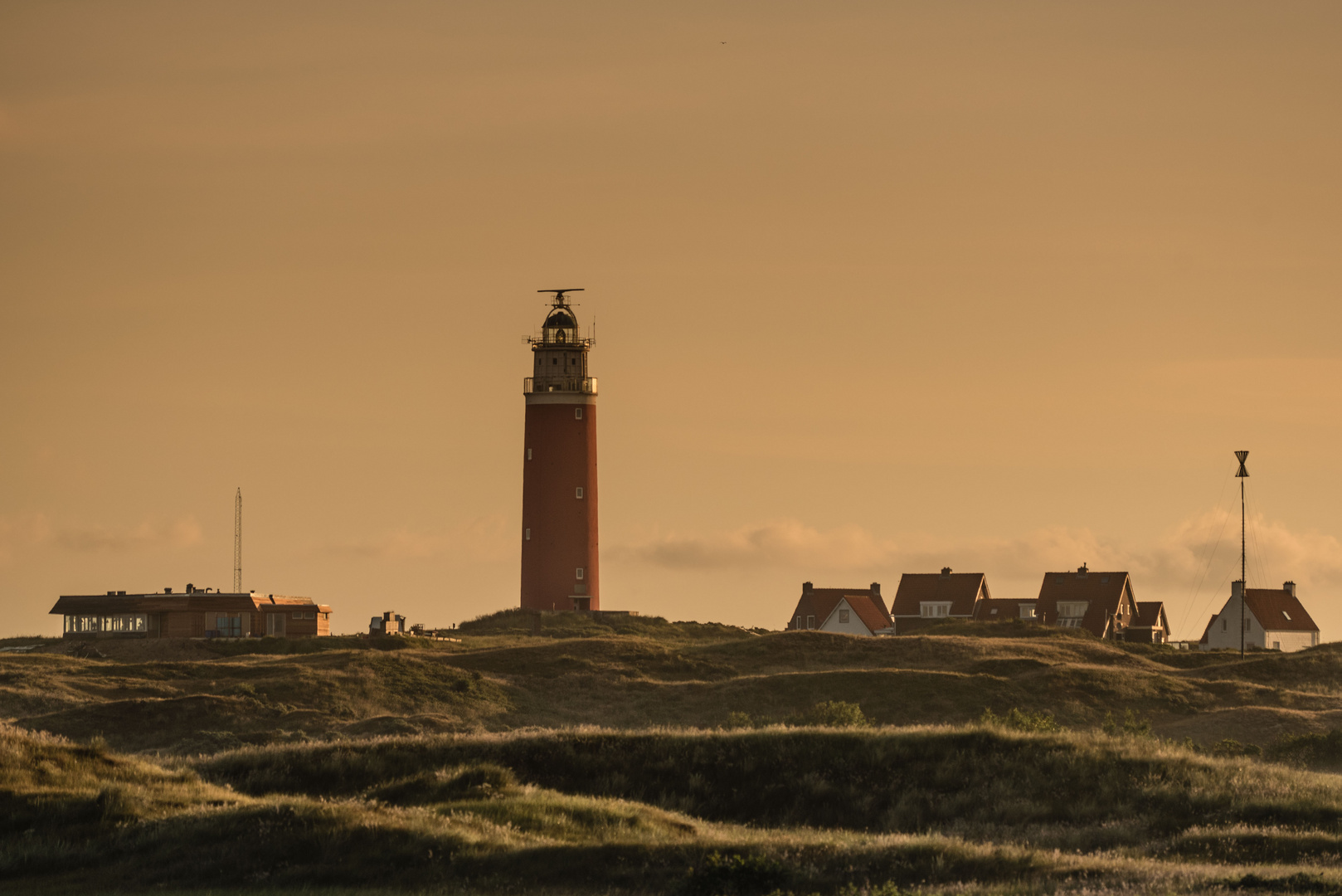 Texel